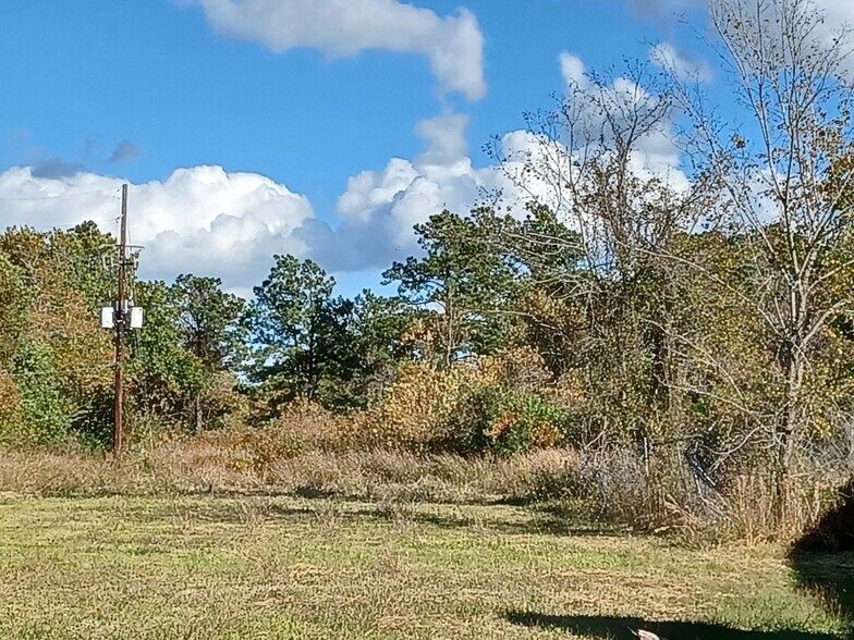 More Photos Of 1315 Houston, Humble Land For Sale