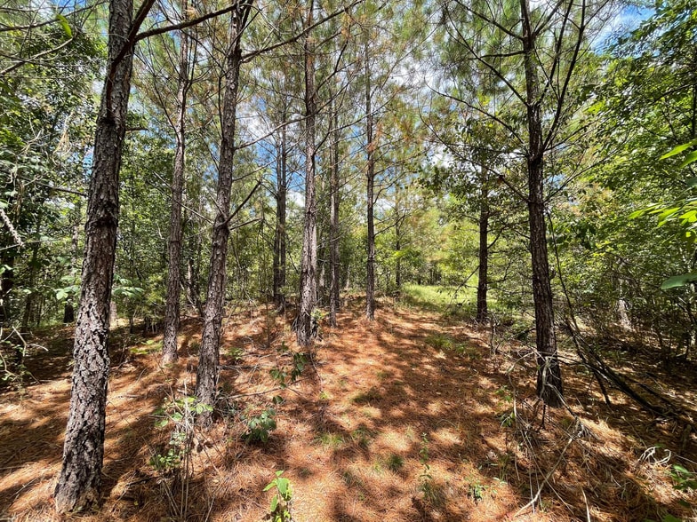 More Photos Of 23034 Highway 25, Columbiana Land For Sale