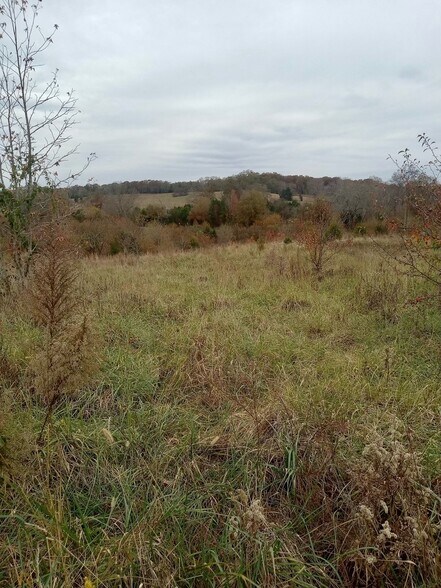 More Photos Of 1486 Martin Road, Ware Shoals Land For Sale