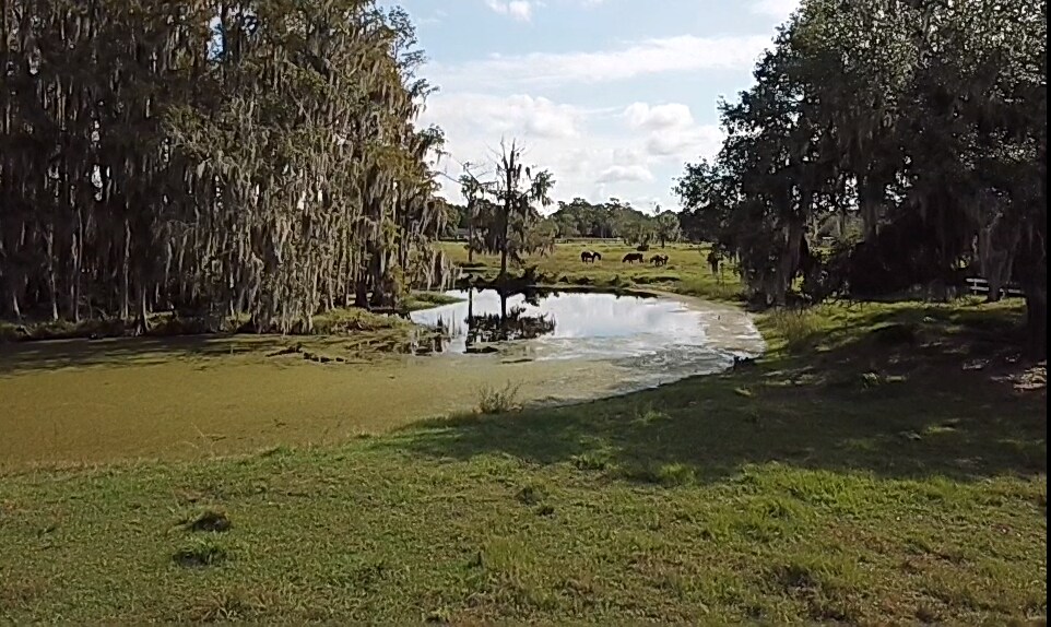 More Photos Of 3825 Canoe Creek Rd, Saint Cloud Land For Sale