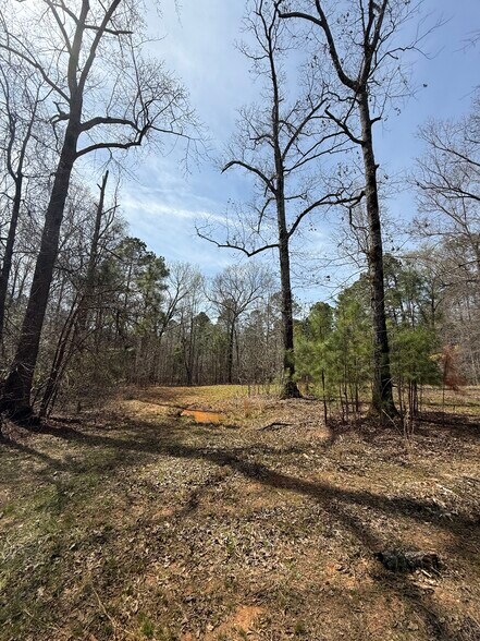 More Photos Of Sugar Creek Trail, Buckhead Land For Sale