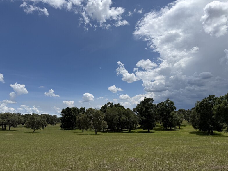 More Photos Of Highway 328 West, Dunnellon Land For Sale