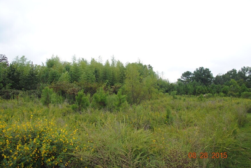 More Photos Of 13180 Veterans Memorial Hwy, Douglasville Land For Sale