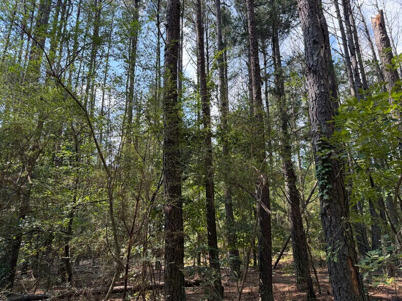 More Photos Of 107 Popham rd, Taylorsville Land For Sale