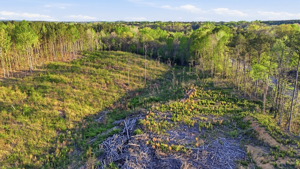 More Photos Of 0 Highway 269, Parrish Land For Sale