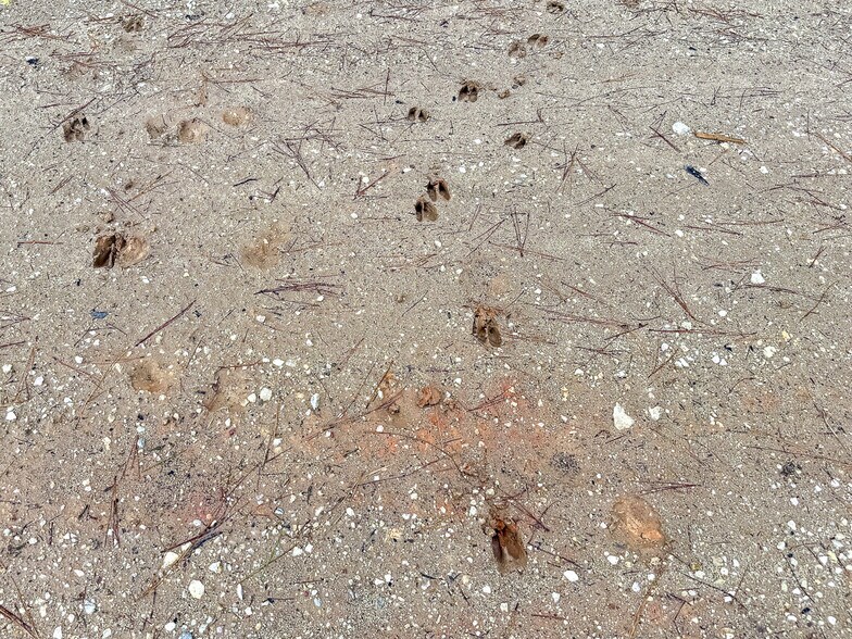 More Photos Of 1682 FM 980 Rd, Huntsville Land For Sale