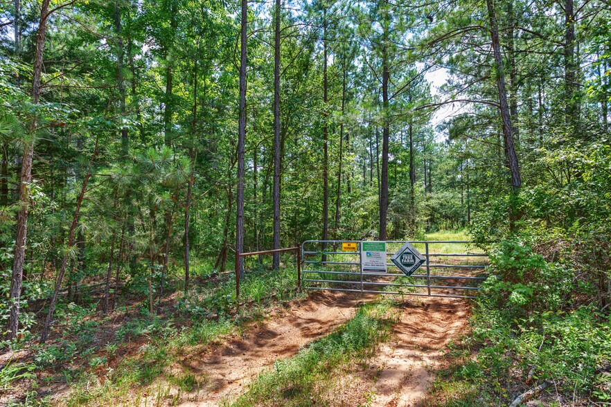 More Photos Of TBD State Hwy 64, Tyler Land For Sale