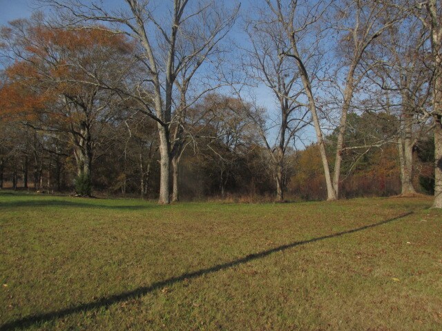 More Photos Of 1750 Georgia Hwy 138, Covington Land For Sale