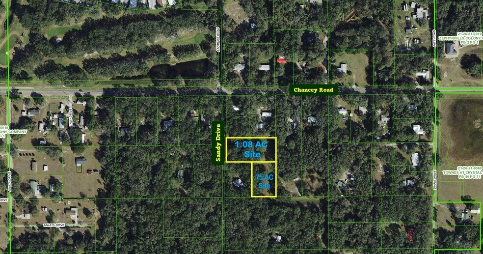 Primary Photo Of 3418 Sandy Dr, Zephyrhills Land For Sale
