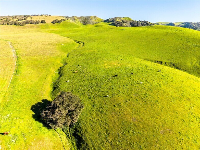 More Photos Of 9451 Batchelder Rd, Los Alamos Land For Sale