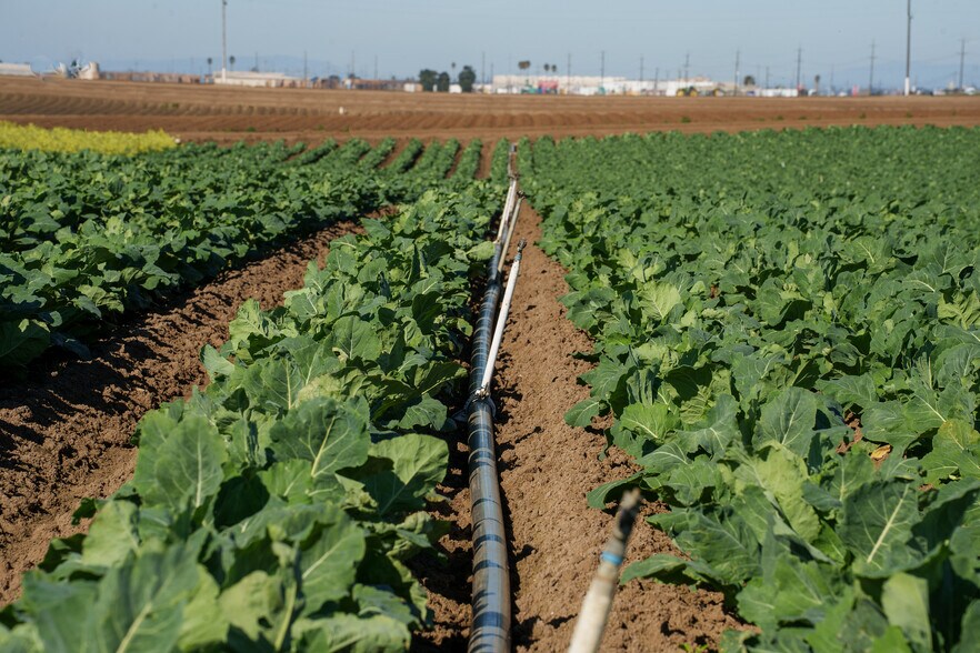 More Photos Of Somavia Rd, Salinas Land For Sale