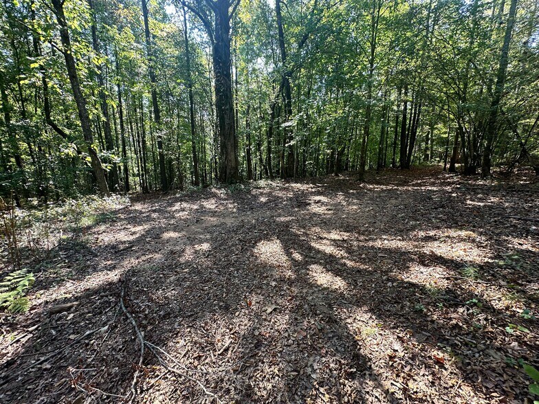 More Photos Of 00 Frix Rd, Cumming Land For Sale