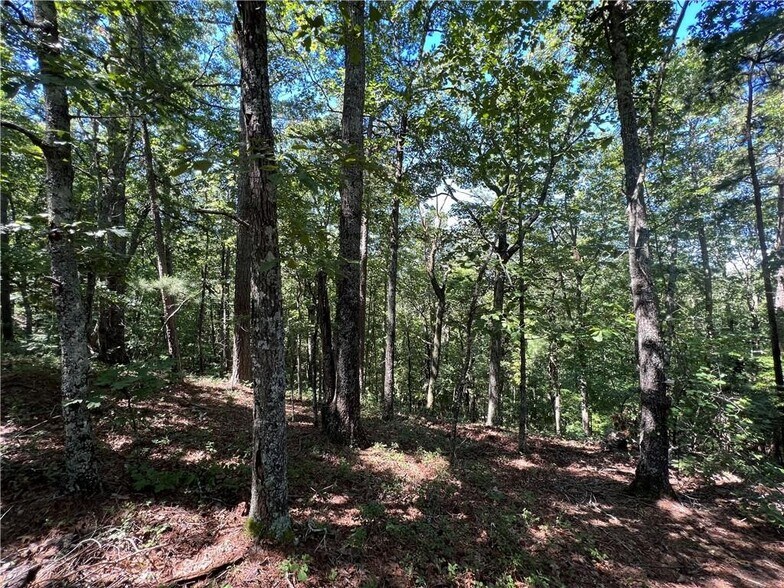 More Photos Of 16 Hawks Branch #123, White Land For Sale