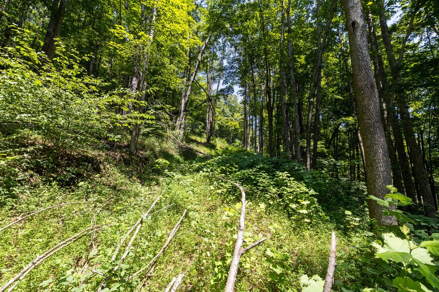 More Photos Of 24272 CONRAD Rd, Laurelville Land For Sale