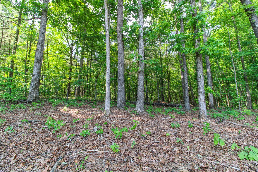 More Photos Of Powell Rd, Statham Land For Sale