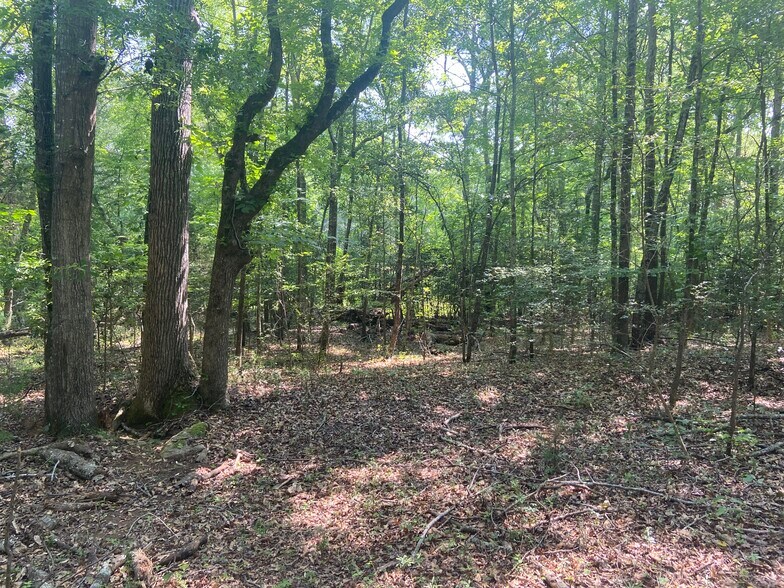 More Photos Of Terry Shop Rd, Fountain Inn Land For Sale
