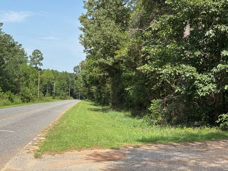 More Photos Of WILLIAMSON ROAD, Shelby Land For Sale