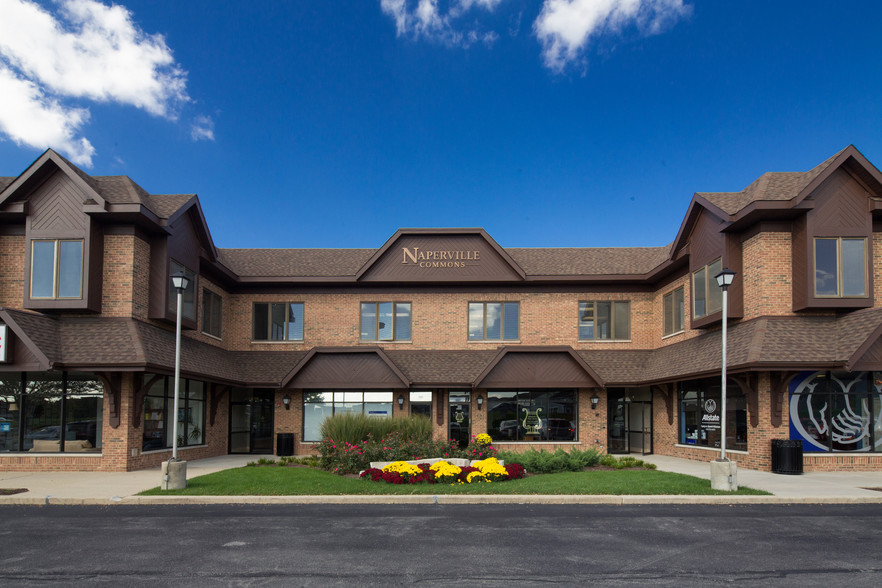 Primary Photo Of 24W500 Maple Ave, Naperville Medical For Lease