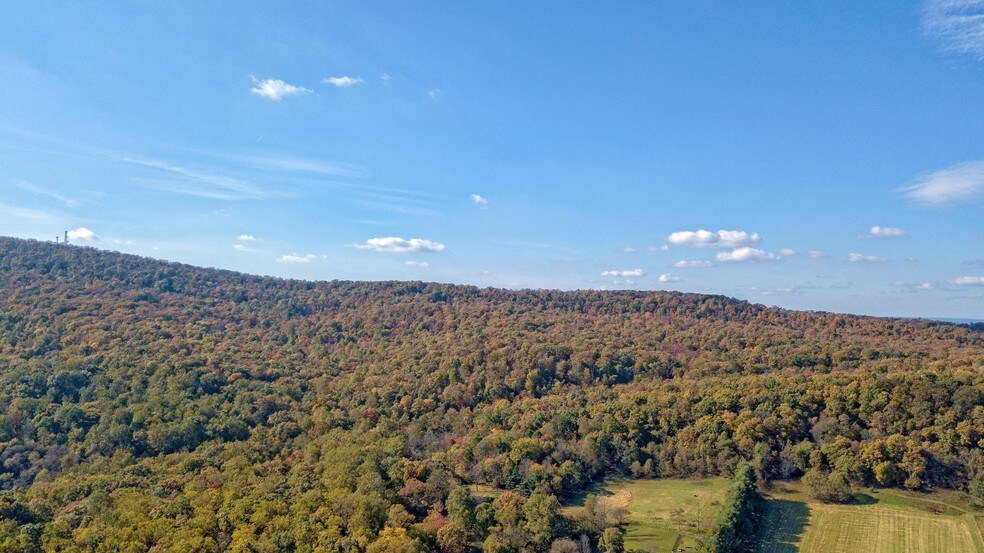 More Photos Of Quarter Branch Rd, Lovettsville Land For Sale