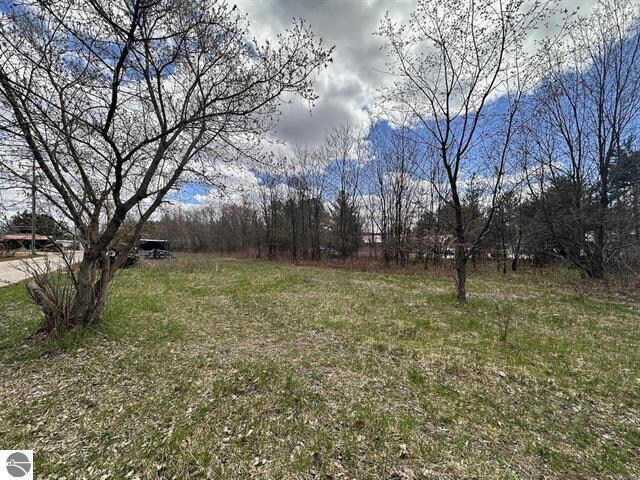 More Photos Of 00 Thayer Ln, Bellaire Land For Sale