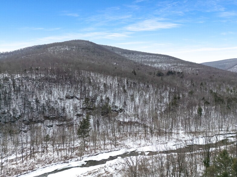 More Photos Of 7159 State Route 28, Shandaken Restaurant For Sale