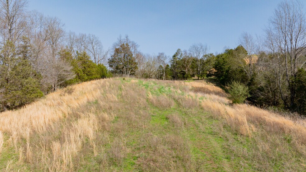 More Photos Of TBD Key Hole Rd, Fort Blackmore Land For Sale