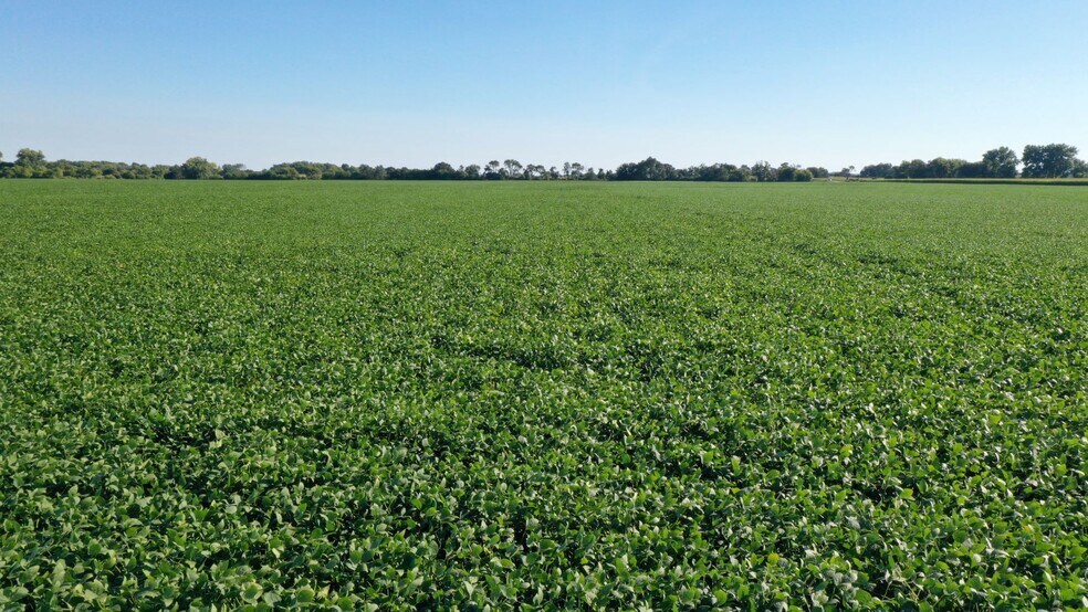 More Photos Of Snyder Road, Virgil Land For Lease