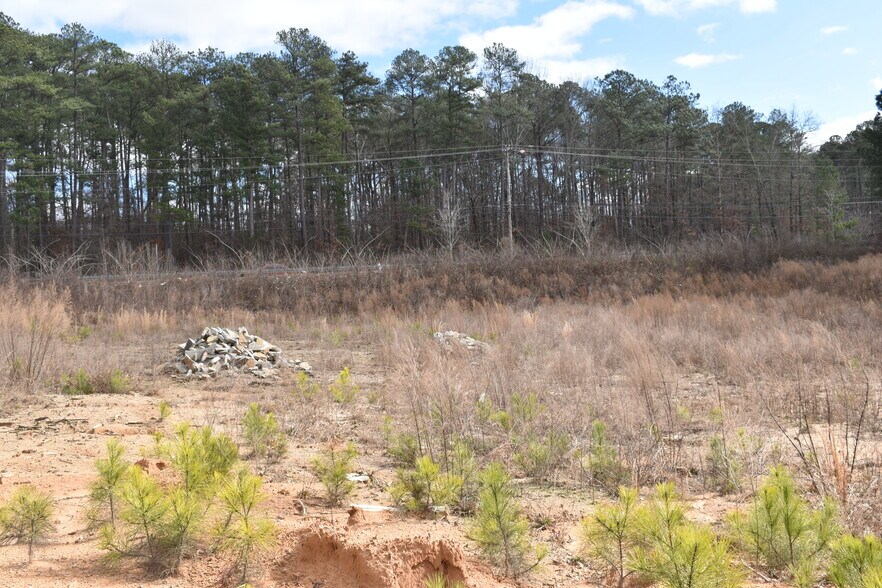 More Photos Of 3079 Lenora Church Rd, Snellville Land For Sale