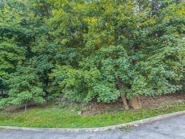 More Photos Of 10 Dickinson, Yonkers Land For Sale