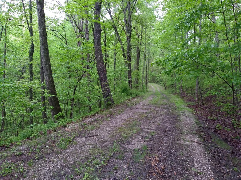 More Photos Of 1737A High Rock Rd, Stanton Land For Sale