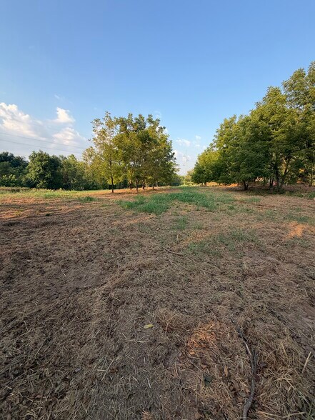 More Photos Of Puppy Creek Rd, Lowell Land For Sale
