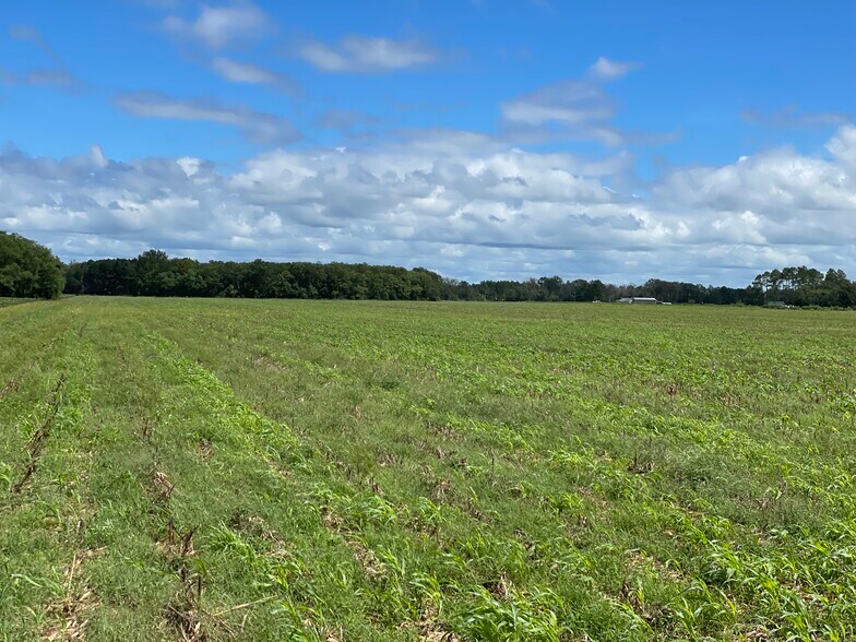 More Photos Of 5700 Pine Forest Rd, Walnut Hill Land For Sale