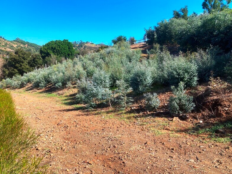 More Photos Of 4 Parcels SANDIA CREEK/DELORME dr, Temecula Land For Sale