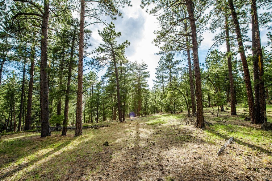 More Photos Of 10250 S Highway 73, Conifer Land For Sale