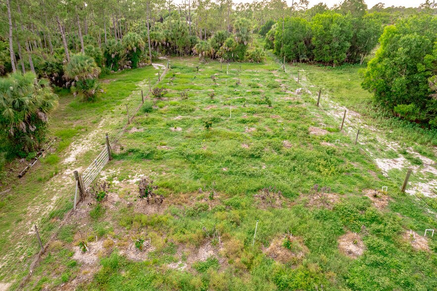 More Photos Of 1301 Ivy Way, Naples Land For Sale
