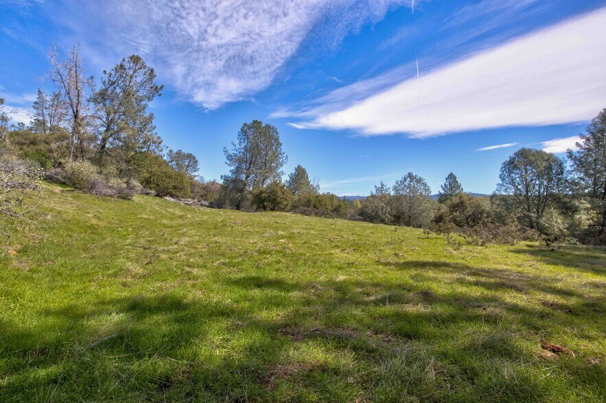 Primary Photo Of 18800 Charleston Rd, Volcano Land For Sale