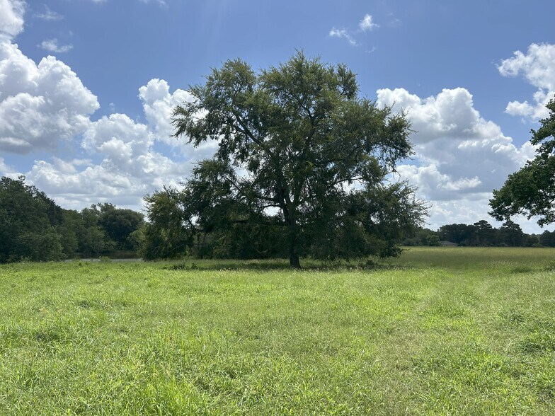 More Photos Of 25396 Magnolia Rd, Hockley Land For Sale