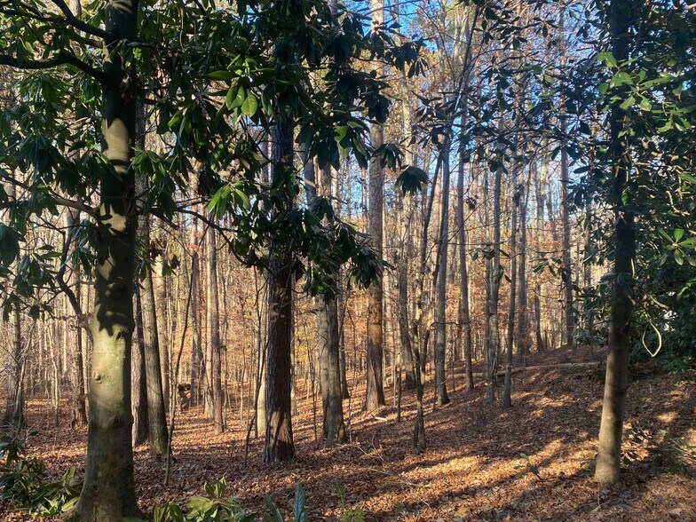 More Photos Of 1830 Winding Creek Ln SW, Marietta Land For Lease