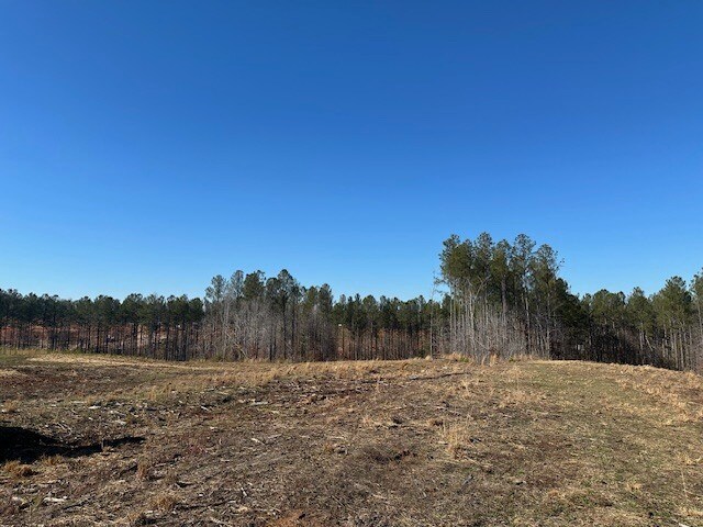 More Photos Of 693 Elledge Road, Ware Shoals Land For Sale