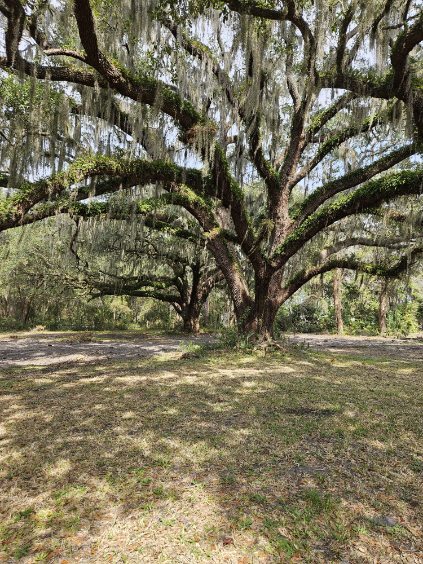 More Photos Of 474455 E Sr 200 Highway A1A, Fernandina Beach Land For Lease