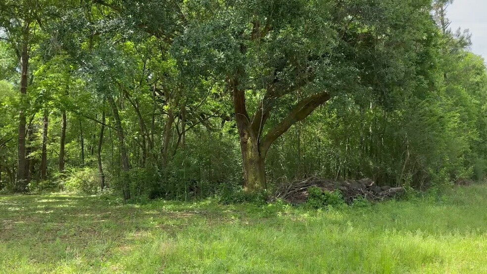 More Photos Of 0 Wilmer, Wilmer Land For Sale