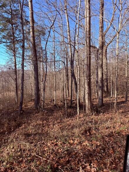 More Photos Of 4604 Summersville Rd, Campbellsville Land For Sale