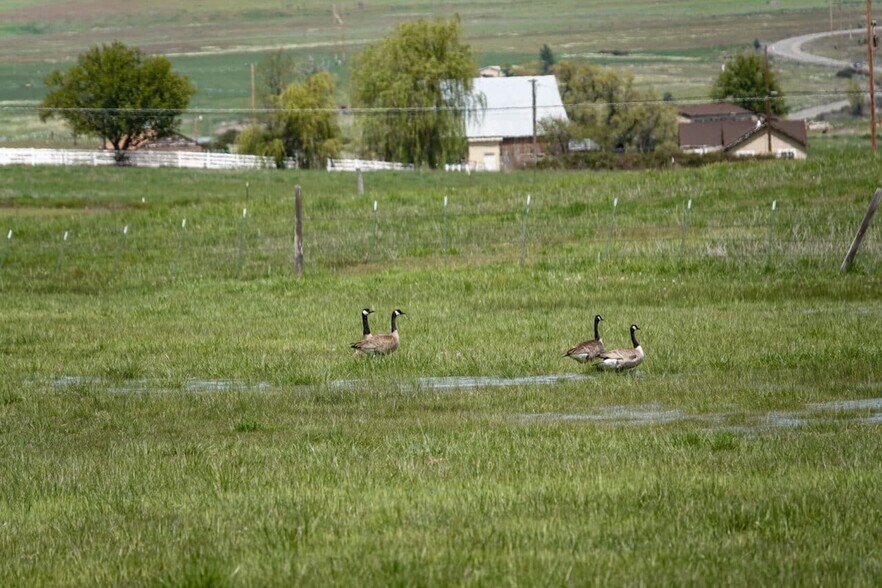 More Photos Of 1834 E. State 3 Hwy, Montague Land For Sale