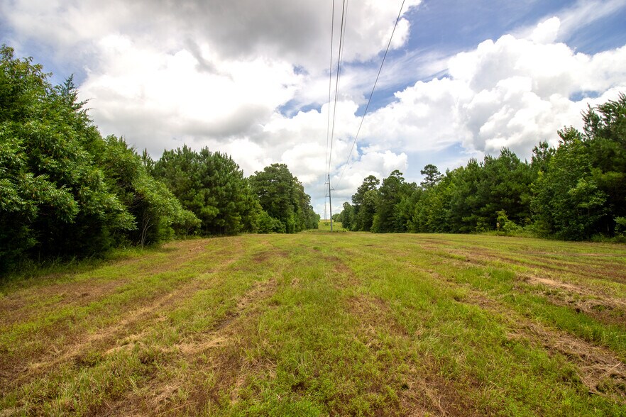 More Photos Of 2539 FM 995, Atlanta Land For Sale