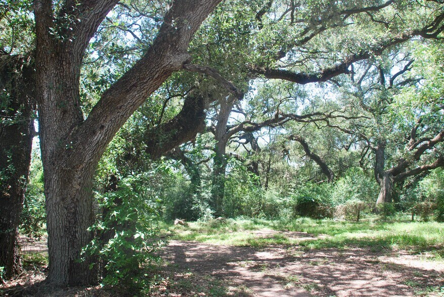 More Photos Of 29 County Road 77B, Hallettsville Land For Sale