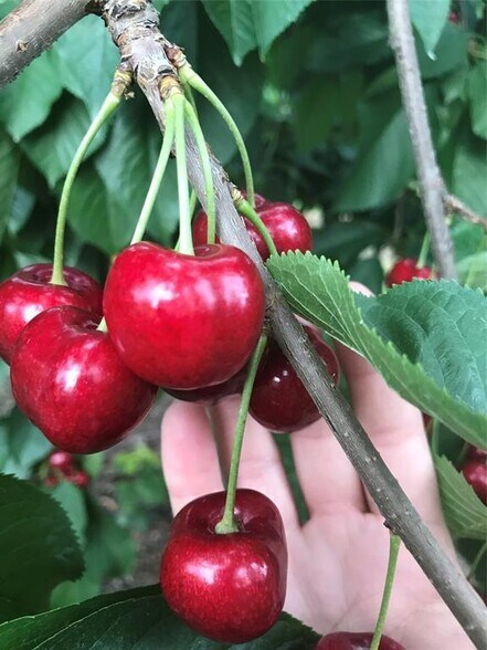 More Photos Of 32624 S Finley Point Rd, Polson Specialty For Sale