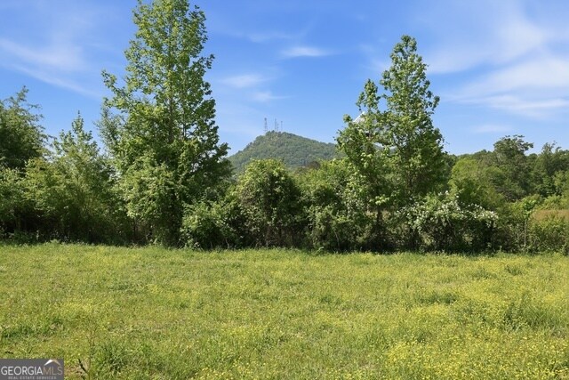 More Photos Of 3120 W Currahee St, Toccoa Land For Sale