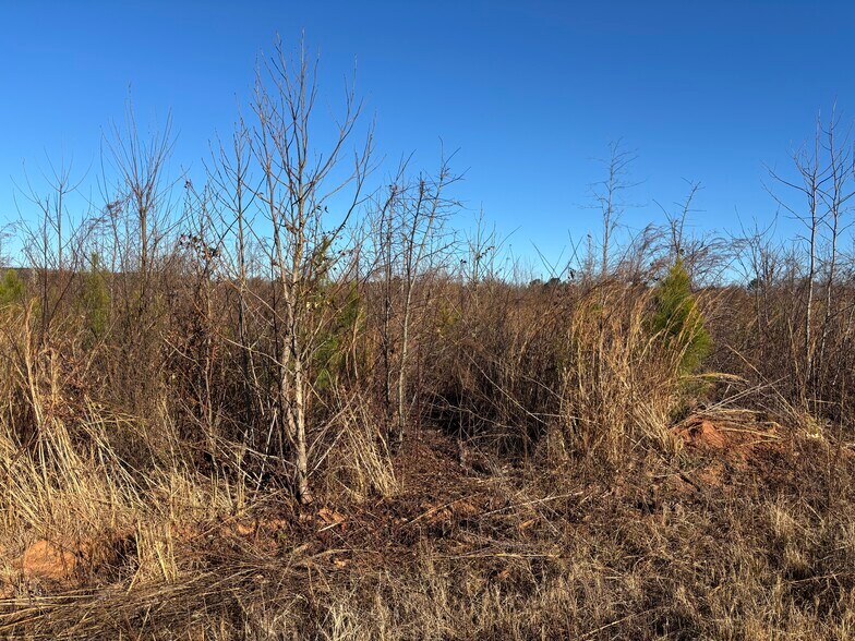 More Photos Of 0 83 Connector hwy, Monroe Land For Sale