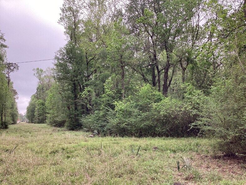 More Photos Of 0 County Road 4876, Dayton Land For Sale