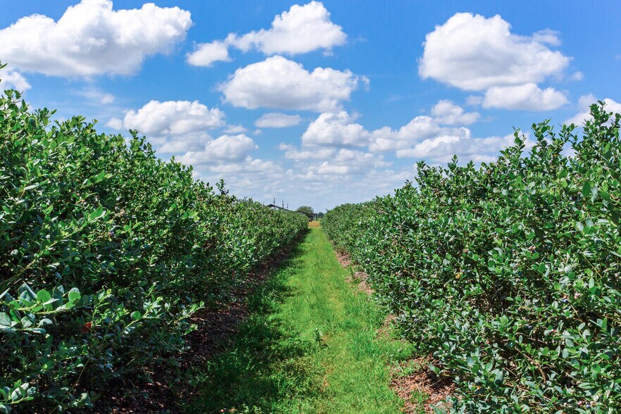 More Photos Of 3674 FL-64, Zolfo Springs Land For Sale